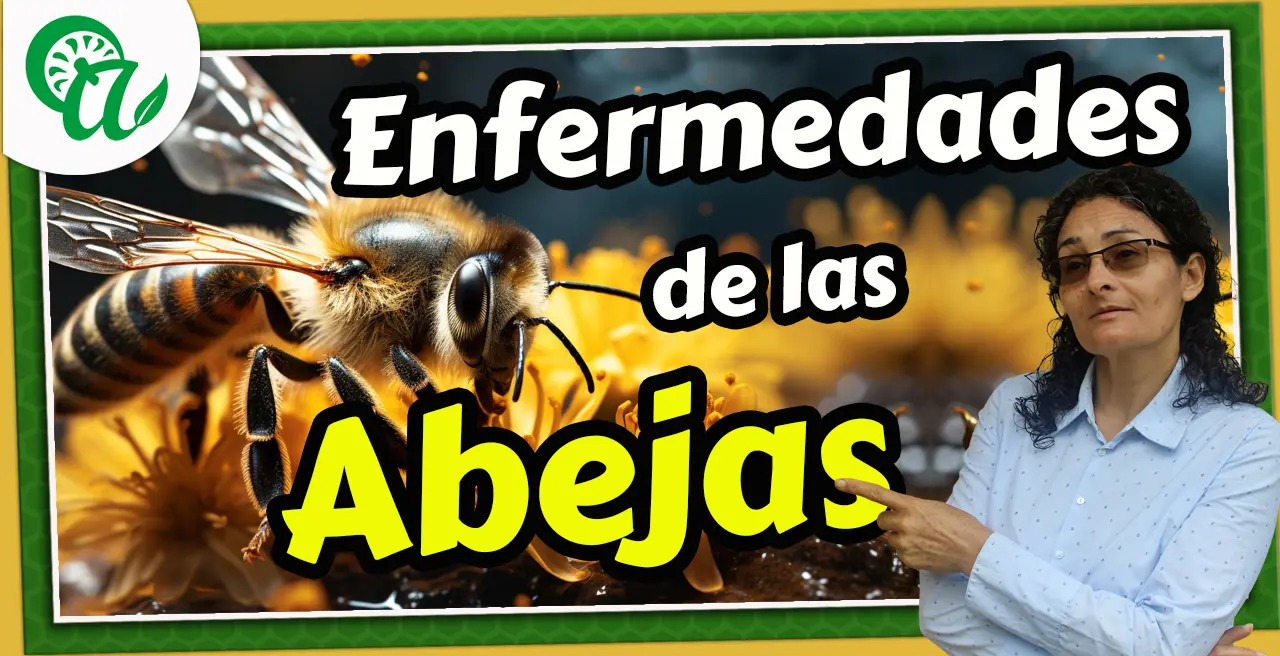 combatir las principales enfermedades de las abejas