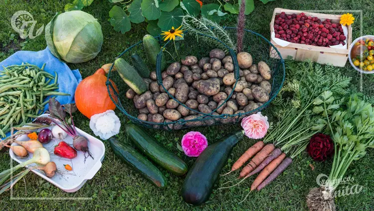 Agricultura biodinámica y lunar