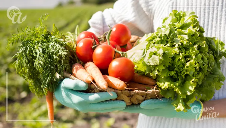 Cosecha y recolección de alimentos