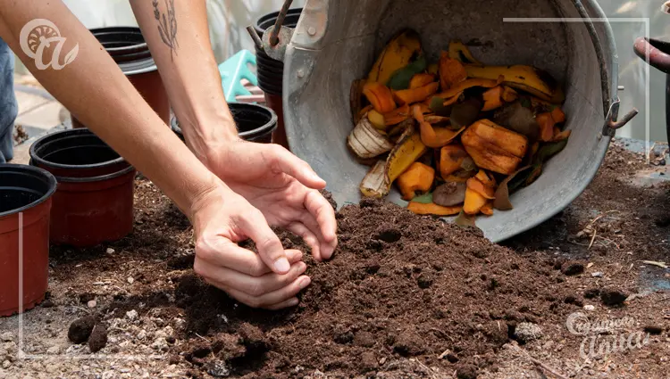 Ecología y sostenibilidad en tu huerto