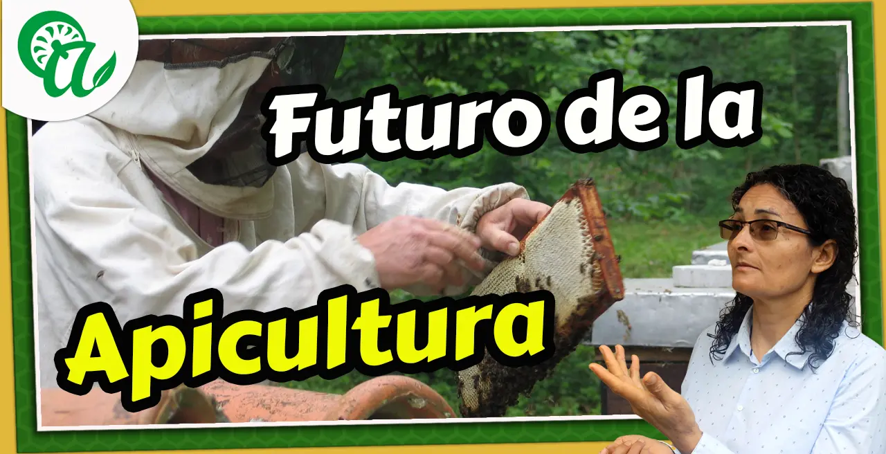 El futuro de la apicultura