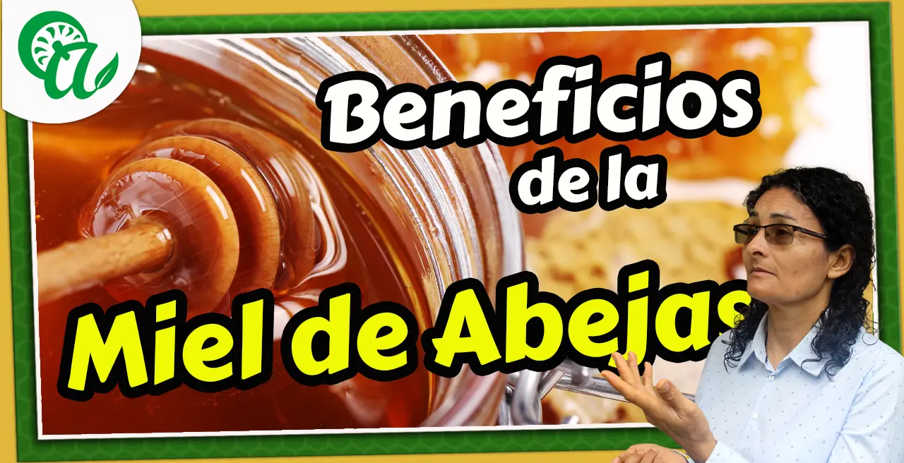 beneficios de la miel