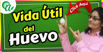 huevo antes de da&ntilde;arse