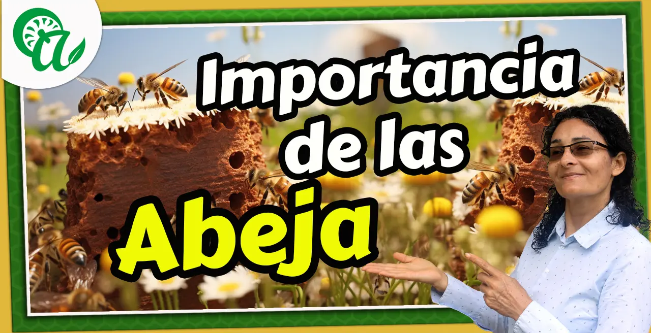 las abejas son esenciales para las personas