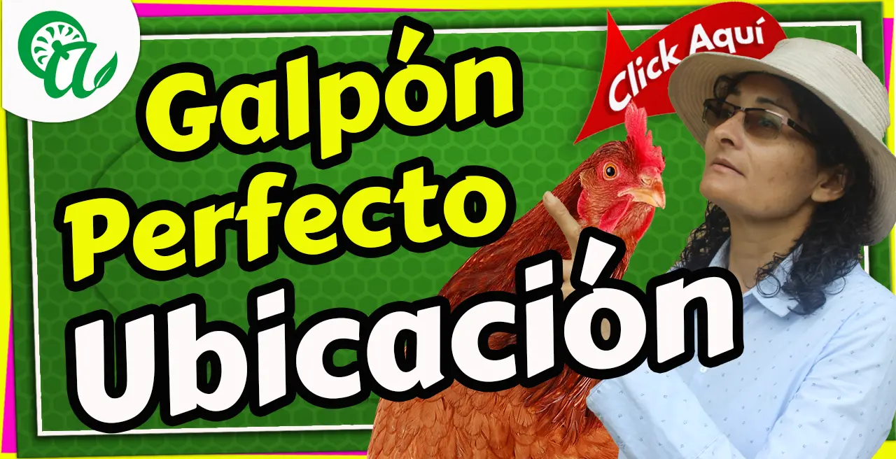 ubicar correctamente un galpón